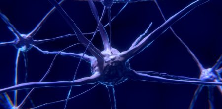The Great Hope: Biomaterial Methods for Spinal Cord Injury Treatment